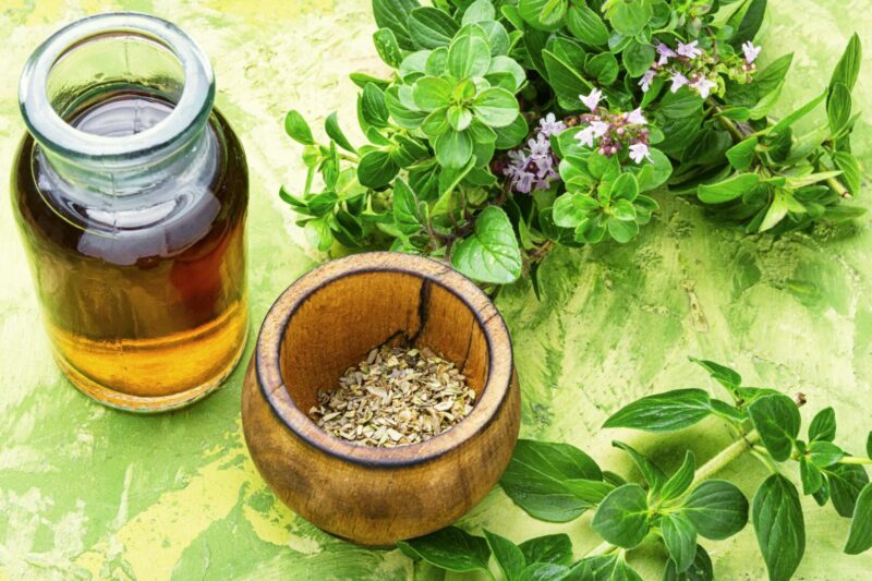 Exploring the Antioxidant Potential of Oil of Oregano and its Impact on Health